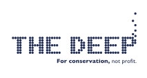 logo-6.webp
